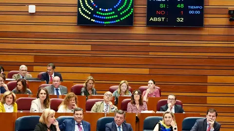 Votación en el Pleno de las Cortes de Castilla y León. Foto: Miriam Chacón.