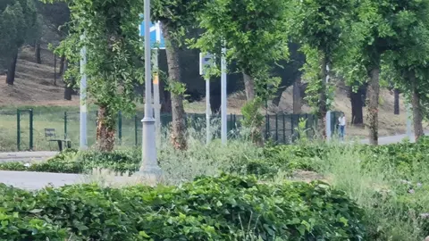 Desde este lunes, los dos nuevos radares fijos instalados en León ya disponen de cámara de control de velocidad validada y están en disposición de sancionar a los vehículos que superen los límites establecidos.