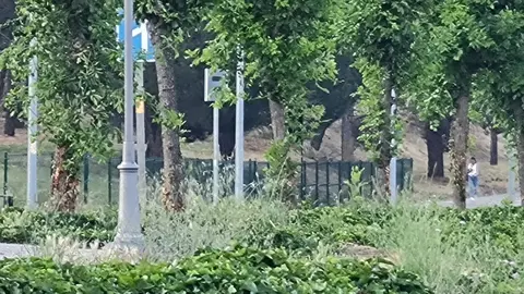 Desde este lunes, los dos nuevos radares fijos instalados en León ya disponen de cámara de control de velocidad validada y están en disposición de sancionar a los vehículos que superen los límites establecidos.