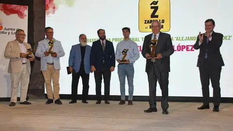 XX gala de entrega de los Premios Zarcillo