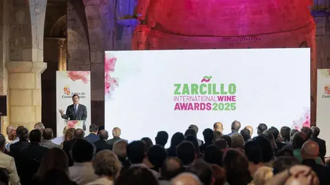 XX gala de entrega de los Premios Zarcillo