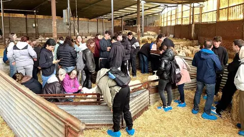 Alumnos del primer curso del Grado de Veterinaria visitan ‘Covisurle’, ‘Quesos Soterano’, ‘Urzapa’, el Matadero Frigorífico Comarcal de Astorga y ‘Cecinas Nieto’.