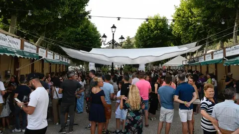 Primera jornada del Festival Musicavino en Villafranca del Bierzo