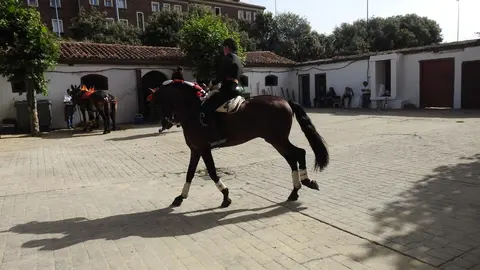 Ventura y Hernández salvan una tarde deslucida en León con una puerta grande compartida. Una mansa corrida de Soto de la Fuente condiciona el festejo, en el que Sergio Galán logra una oreja de mérito tras sufrir una caída sin consecuencias.