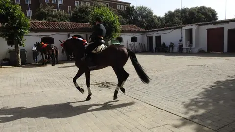 Ventura y Hernández salvan una tarde deslucida en León con una puerta grande compartida. Una mansa corrida de Soto de la Fuente condiciona el festejo, en el que Sergio Galán logra una oreja de mérito tras sufrir una caída sin consecuencias.