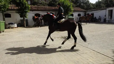 Ventura y Hernández salvan una tarde deslucida en León con una puerta grande compartida. Una mansa corrida de Soto de la Fuente condiciona el festejo, en el que Sergio Galán logra una oreja de mérito tras sufrir una caída sin consecuencias.