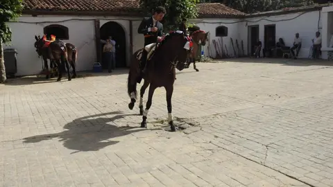 Ventura y Hernández salvan una tarde deslucida en León con una puerta grande compartida. Una mansa corrida de Soto de la Fuente condiciona el festejo, en el que Sergio Galán logra una oreja de mérito tras sufrir una caída sin consecuencias.