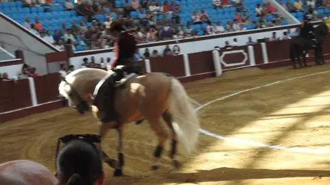 Ventura y Hernández salvan una tarde deslucida en León con una puerta grande compartida. Una mansa corrida de Soto de la Fuente condiciona el festejo, en el que Sergio Galán logra una oreja de mérito tras sufrir una caída sin consecuencias.