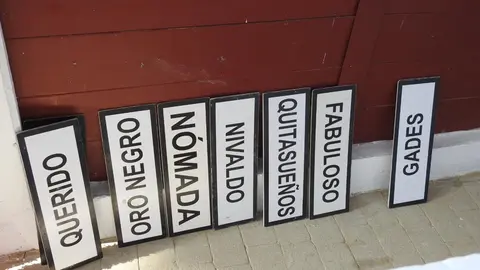 Ventura y Hernández salvan una tarde deslucida en León con una puerta grande compartida. Una mansa corrida de Soto de la Fuente condiciona el festejo, en el que Sergio Galán logra una oreja de mérito tras sufrir una caída sin consecuencias.