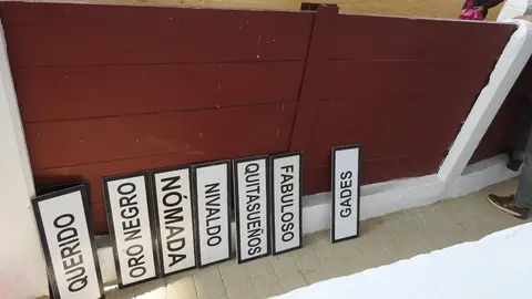 Ventura y Hernández salvan una tarde deslucida en León con una puerta grande compartida. Una mansa corrida de Soto de la Fuente condiciona el festejo, en el que Sergio Galán logra una oreja de mérito tras sufrir una caída sin consecuencias.