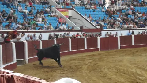Ventura y Hernández salvan una tarde deslucida en León con una puerta grande compartida. Una mansa corrida de Soto de la Fuente condiciona el festejo, en el que Sergio Galán logra una oreja de mérito tras sufrir una caída sin consecuencias.