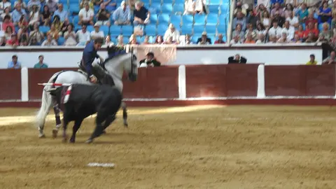 Ventura y Hernández salvan una tarde deslucida en León con una puerta grande compartida. Una mansa corrida de Soto de la Fuente condiciona el festejo, en el que Sergio Galán logra una oreja de mérito tras sufrir una caída sin consecuencias.