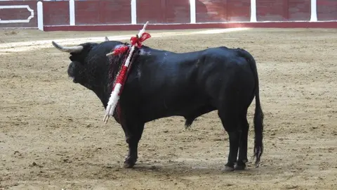 Ventura y Hernández salvan una tarde deslucida en León con una puerta grande compartida. Una mansa corrida de Soto de la Fuente condiciona el festejo, en el que Sergio Galán logra una oreja de mérito tras sufrir una caída sin consecuencias.