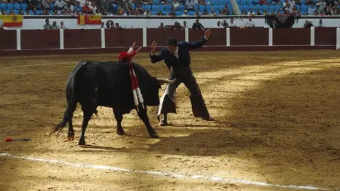 Ventura y Hernández salvan una tarde deslucida en León con una puerta grande compartida. Una mansa corrida de Soto de la Fuente condiciona el festejo, en el que Sergio Galán logra una oreja de mérito tras sufrir una caída sin consecuencias.