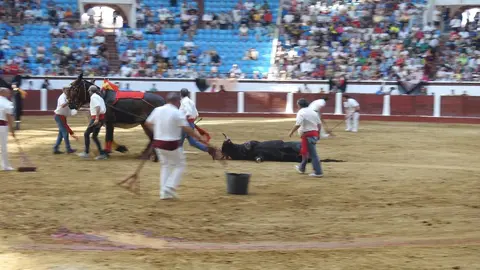 Ventura y Hernández salvan una tarde deslucida en León con una puerta grande compartida. Una mansa corrida de Soto de la Fuente condiciona el festejo, en el que Sergio Galán logra una oreja de mérito tras sufrir una caída sin consecuencias.