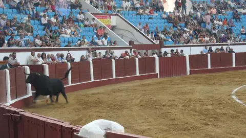 Ventura y Hernández salvan una tarde deslucida en León con una puerta grande compartida. Una mansa corrida de Soto de la Fuente condiciona el festejo, en el que Sergio Galán logra una oreja de mérito tras sufrir una caída sin consecuencias.