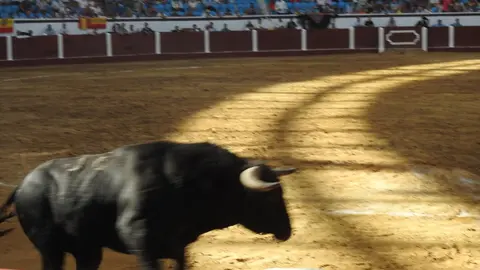 Ventura y Hernández salvan una tarde deslucida en León con una puerta grande compartida. Una mansa corrida de Soto de la Fuente condiciona el festejo, en el que Sergio Galán logra una oreja de mérito tras sufrir una caída sin consecuencias.