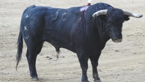 Ventura y Hernández salvan una tarde deslucida en León con una puerta grande compartida. Una mansa corrida de Soto de la Fuente condiciona el festejo, en el que Sergio Galán logra una oreja de mérito tras sufrir una caída sin consecuencias.