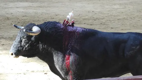 Ventura y Hernández salvan una tarde deslucida en León con una puerta grande compartida. Una mansa corrida de Soto de la Fuente condiciona el festejo, en el que Sergio Galán logra una oreja de mérito tras sufrir una caída sin consecuencias.