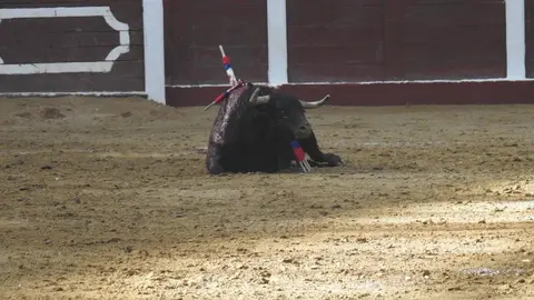 Ventura y Hernández salvan una tarde deslucida en León con una puerta grande compartida. Una mansa corrida de Soto de la Fuente condiciona el festejo, en el que Sergio Galán logra una oreja de mérito tras sufrir una caída sin consecuencias.