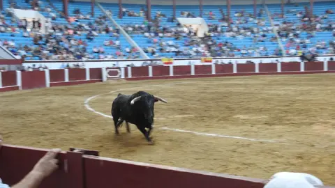 Ventura y Hernández salvan una tarde deslucida en León con una puerta grande compartida. Una mansa corrida de Soto de la Fuente condiciona el festejo, en el que Sergio Galán logra una oreja de mérito tras sufrir una caída sin consecuencias.