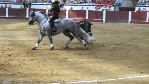 Ventura y Hernández salvan una tarde deslucida en León con una puerta grande compartida. Una mansa corrida de Soto de la Fuente condiciona el festejo, en el que Sergio Galán logra una oreja de mérito tras sufrir una caída sin consecuencias.