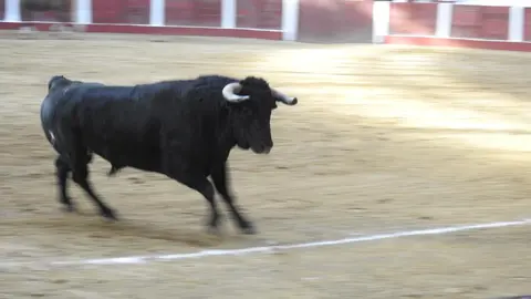 Ventura y Hernández salvan una tarde deslucida en León con una puerta grande compartida. Una mansa corrida de Soto de la Fuente condiciona el festejo, en el que Sergio Galán logra una oreja de mérito tras sufrir una caída sin consecuencias.