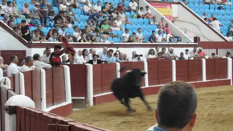 Ventura y Hernández salvan una tarde deslucida en León con una puerta grande compartida. Una mansa corrida de Soto de la Fuente condiciona el festejo, en el que Sergio Galán logra una oreja de mérito tras sufrir una caída sin consecuencias.