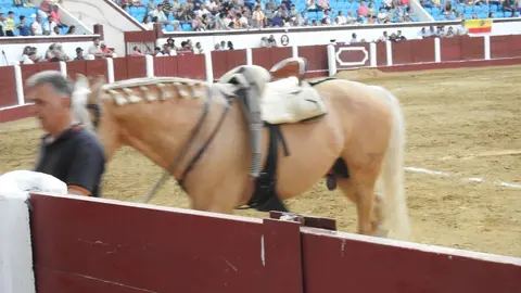 Ventura y Hernández salvan una tarde deslucida en León con una puerta grande compartida. Una mansa corrida de Soto de la Fuente condiciona el festejo, en el que Sergio Galán logra una oreja de mérito tras sufrir una caída sin consecuencias.