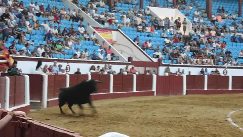 Ventura y Hernández salvan una tarde deslucida en León con una puerta grande compartida. Una mansa corrida de Soto de la Fuente condiciona el festejo, en el que Sergio Galán logra una oreja de mérito tras sufrir una caída sin consecuencias.