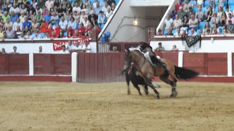 Ventura y Hernández salvan una tarde deslucida en León con una puerta grande compartida. Una mansa corrida de Soto de la Fuente condiciona el festejo, en el que Sergio Galán logra una oreja de mérito tras sufrir una caída sin consecuencias.