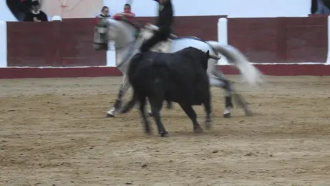 Ventura y Hernández salvan una tarde deslucida en León con una puerta grande compartida. Una mansa corrida de Soto de la Fuente condiciona el festejo, en el que Sergio Galán logra una oreja de mérito tras sufrir una caída sin consecuencias.