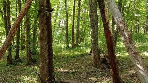 Área de juegos de área recreativa Soto de Villar de los Barrios.
