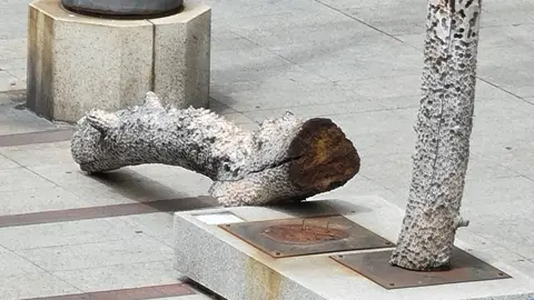 La escultura es un trabajo del artista leonés José Antonio Alonso-Santocildes Sutil y forma parte de un conjunto que el escultor tituló 'Bosques de la Buena Esperanza' ya vandalizado en 2023.