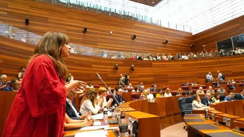 Pleno de las Cortes de Castilla y León durante la sesión de este martes. Foto: Miriam Chacón