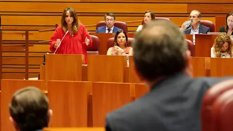 Pleno de las Cortes de Castilla y León durante la sesión de este martes. Foto: Miriam Chacón