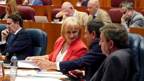 Pleno de las Cortes de Castilla y León durante la sesión de este martes. Foto: Miriam Chacón
