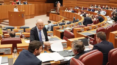 Las Cortes de Castilla y León aprobaron este miércoles, con los votos a favor de PSOE, Vox, Podemos y Francisco Igea, la nueva ley de Publicidad Institucional, mientras que el Grupo Popular votó en contra de una norma que considera que “vulnera la libertad de expresión y nace muerta”.