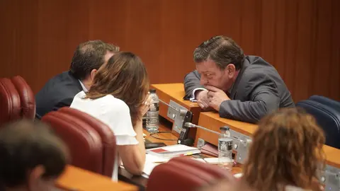 Las Cortes de Castilla y León aprobaron este miércoles, con los votos a favor de PSOE, Vox, Podemos y Francisco Igea, la nueva ley de Publicidad Institucional, mientras que el Grupo Popular votó en contra de una norma que considera que “vulnera la libertad de expresión y nace muerta”.