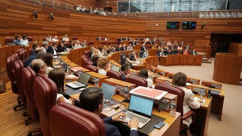 Las Cortes de Castilla y León aprobaron este miércoles, con los votos a favor de PSOE, Vox, Podemos y Francisco Igea, la nueva ley de Publicidad Institucional, mientras que el Grupo Popular votó en contra de una norma que considera que “vulnera la libertad de expresión y nace muerta”.