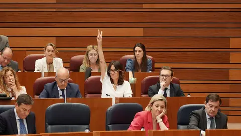 Las Cortes de Castilla y León aprobaron este miércoles, con los votos a favor de PSOE, Vox, Podemos y Francisco Igea, la nueva ley de Publicidad Institucional, mientras que el Grupo Popular votó en contra de una norma que considera que “vulnera la libertad de expresión y nace muerta”.