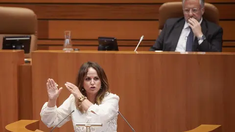 Las Cortes de Castilla y León aprobaron este miércoles, con los votos a favor de PSOE, Vox, Podemos y Francisco Igea, la nueva ley de Publicidad Institucional, mientras que el Grupo Popular votó en contra de una norma que considera que “vulnera la libertad de expresión y nace muerta”.