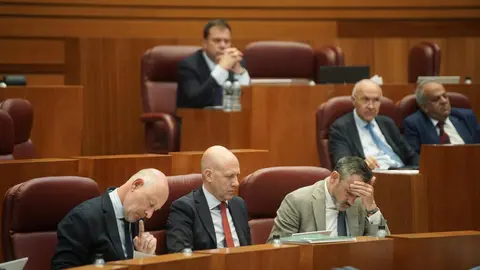 Las Cortes de Castilla y León aprobaron este miércoles, con los votos a favor de PSOE, Vox, Podemos y Francisco Igea, la nueva ley de Publicidad Institucional, mientras que el Grupo Popular votó en contra de una norma que considera que “vulnera la libertad de expresión y nace muerta”.