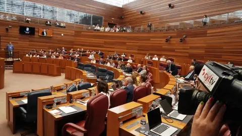 Las Cortes de Castilla y León aprobaron este miércoles, con los votos a favor de PSOE, Vox, Podemos y Francisco Igea, la nueva ley de Publicidad Institucional, mientras que el Grupo Popular votó en contra de una norma que considera que “vulnera la libertad de expresión y nace muerta”.