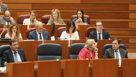 Las Cortes de Castilla y León aprobaron este miércoles, con los votos a favor de PSOE, Vox, Podemos y Francisco Igea, la nueva ley de Publicidad Institucional, mientras que el Grupo Popular votó en contra de una norma que considera que “vulnera la libertad de expresión y nace muerta”.