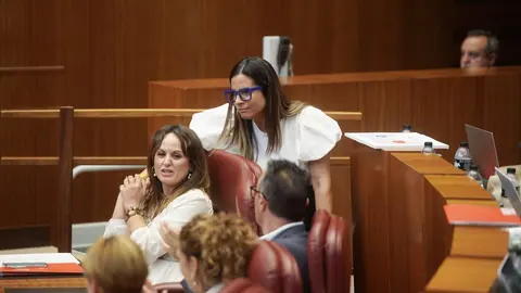 Las Cortes de Castilla y León aprobaron este miércoles, con los votos a favor de PSOE, Vox, Podemos y Francisco Igea, la nueva ley de Publicidad Institucional, mientras que el Grupo Popular votó en contra de una norma que considera que “vulnera la libertad de expresión y nace muerta”.