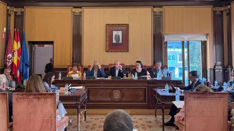 El Ayuntamiento de León ha aprobado este viernes en pleno la creación de la Zona de Bajas Emisiones (ZBE), una medida que dotará de cobertura legal a las restricciones de circulación en el centro de la capital.