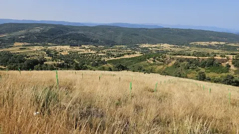 El presidente de la Diputación de León, Gerardo Álvarez Courel, el vicepresidente para El Bierzo, Luis Alberto Arias, y la diputada de Transición Ecológica, Lucía Osorio visitan Quintana de Fuseros.
