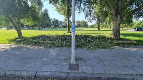 Un hombre de 73 años ha fallecido este viernes 4 de julio tras haber sido alcanzado por una rama que se desprendió de un árbol durante la fuerte tormenta que sacudió León en la tarde del jueves. En la imagen, el lugar en el que se produjo el fatal suceso. Fotos: Heraldo de León