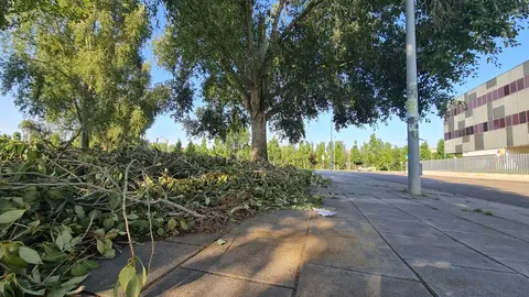 Un hombre de 73 años ha fallecido este viernes 4 de julio tras haber sido alcanzado por una rama que se desprendió de un árbol durante la fuerte tormenta que sacudió León en la tarde del jueves. En la imagen, el lugar en el que se produjo el fatal suceso. Fotos: Heraldo de León